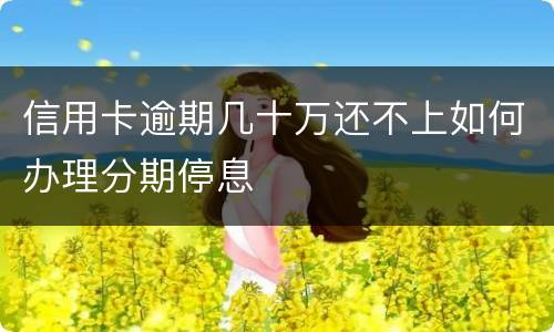 信用卡逾期几十万还不上如何办理分期停息