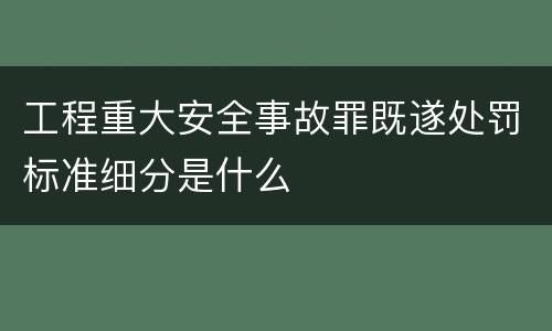 工程重大安全事故罪既遂处罚标准细分是什么