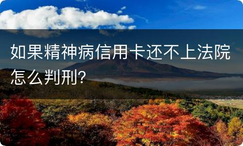 如果精神病信用卡还不上法院怎么判刑？
