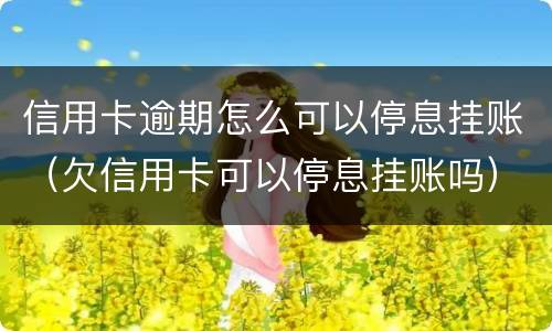 信用卡逾期怎么可以停息挂账（欠信用卡可以停息挂账吗）