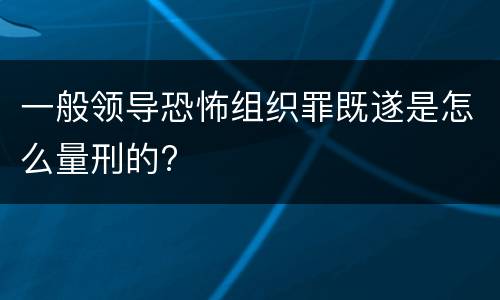一般领导恐怖组织罪既遂是怎么量刑的?