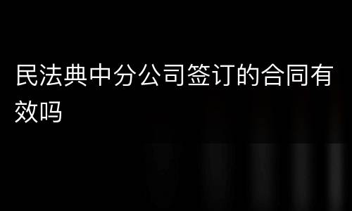 民法典中分公司签订的合同有效吗