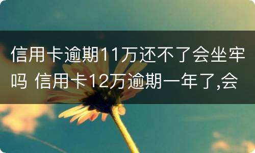 信用卡逾期11万还不了会坐牢吗 信用卡12万逾期一年了,会不会坐牢