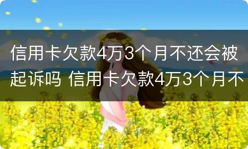 信用卡欠款4万3个月不还会被起诉吗 信用卡欠款4万3个月不还会被起诉吗