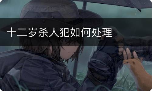 十二岁杀人犯如何处理