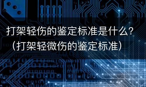 打架轻伤的鉴定标准是什么？（打架轻微伤的鉴定标准）