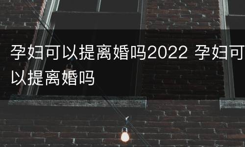 孕妇可以提离婚吗2022 孕妇可以提离婚吗
