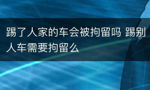 踢了人家的车会被拘留吗 踢别人车需要拘留么