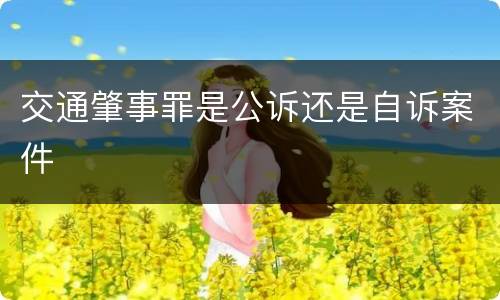 交通肇事罪是公诉还是自诉案件