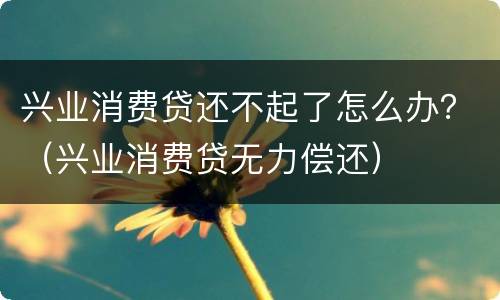 兴业消费贷还不起了怎么办？（兴业消费贷无力偿还）