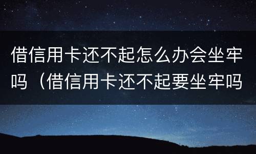 借信用卡还不起怎么办会坐牢吗（借信用卡还不起要坐牢吗）