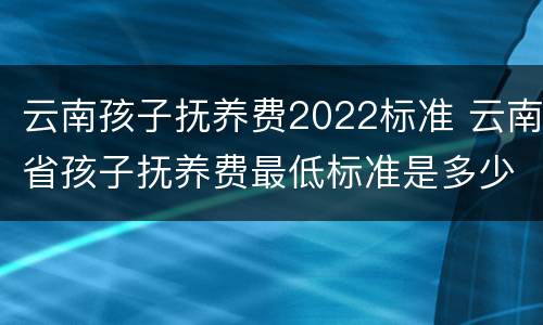 云南孩子抚养费2022标准 云南省孩子抚养费最低标准是多少