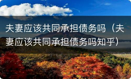 夫妻应该共同承担债务吗（夫妻应该共同承担债务吗知乎）