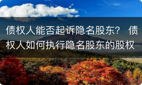 债权人能否起诉隐名股东？ 债权人如何执行隐名股东的股权