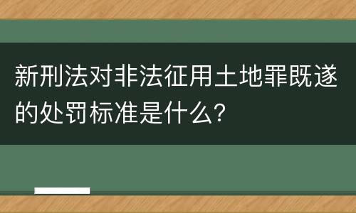 新刑法对非法征用土地罪既遂的处罚标准是什么？