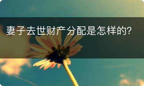 妻子去世财产分配是怎样的？