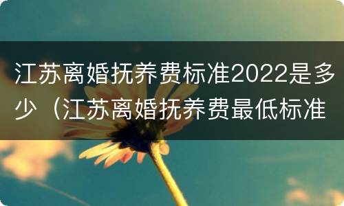 江苏离婚抚养费标准2022是多少（江苏离婚抚养费最低标准）