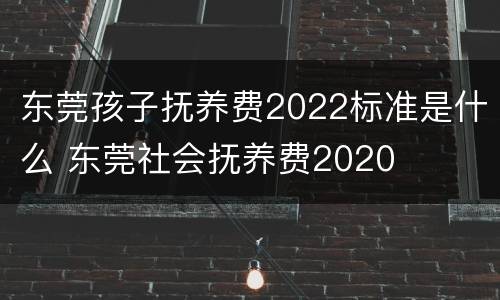 东莞孩子抚养费2022标准是什么 东莞社会抚养费2020