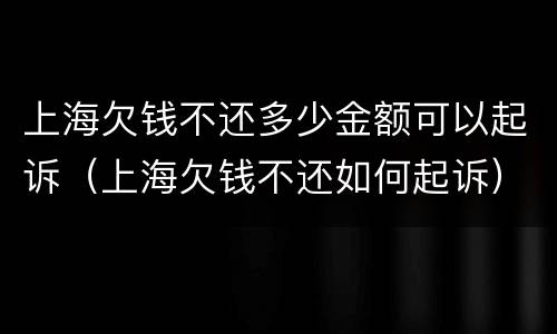 上海欠钱不还多少金额可以起诉（上海欠钱不还如何起诉）