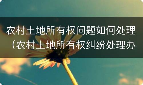 农村土地所有权问题如何处理（农村土地所有权纠纷处理办法）