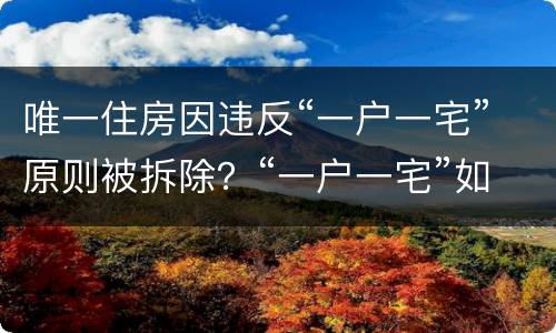 唯一住房因违反“一户一宅”原则被拆除？“一户一宅”如何认定？
