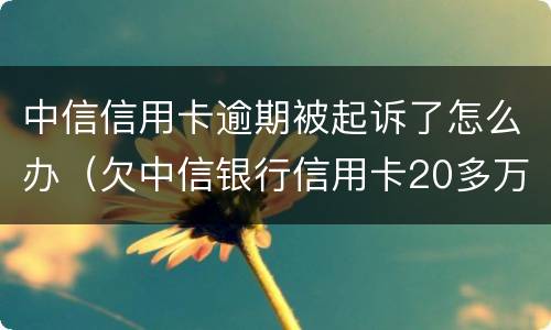 中信信用卡逾期被起诉了怎么办（欠中信银行信用卡20多万被起诉了怎么办）