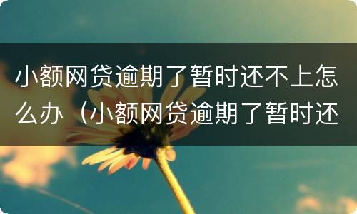小额网贷逾期了暂时还不上怎么办（小额网贷逾期了暂时还不上怎么办呢）