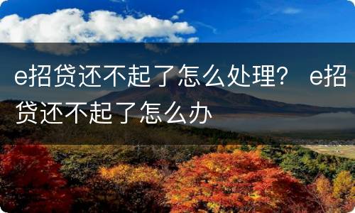 e招贷还不起了怎么处理？ e招贷还不起了怎么办