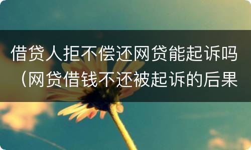 借贷人拒不偿还网贷能起诉吗（网贷借钱不还被起诉的后果）