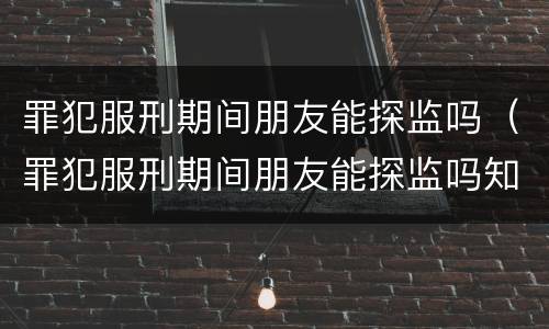 罪犯服刑期间朋友能探监吗（罪犯服刑期间朋友能探监吗知乎）