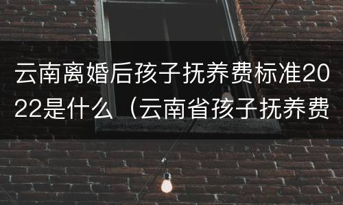 云南离婚后孩子抚养费标准2022是什么（云南省孩子抚养费标准）