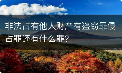 非法占有他人财产有盗窃罪侵占罪还有什么罪？