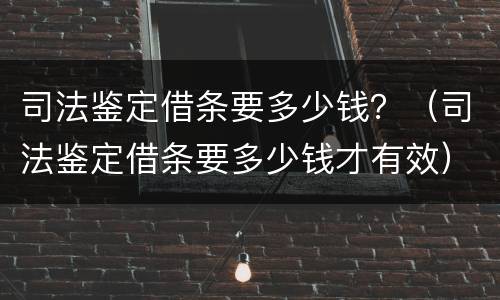 司法鉴定借条要多少钱？（司法鉴定借条要多少钱才有效）