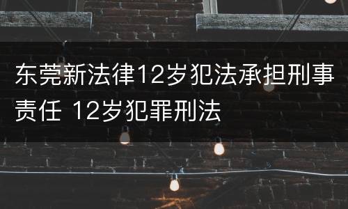 东莞新法律12岁犯法承担刑事责任 12岁犯罪刑法