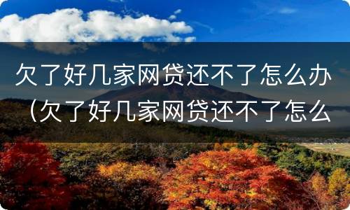 欠了好几家网贷还不了怎么办（欠了好几家网贷还不了怎么办呀）