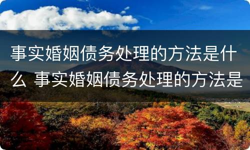 事实婚姻债务处理的方法是什么 事实婚姻债务处理的方法是什么意思