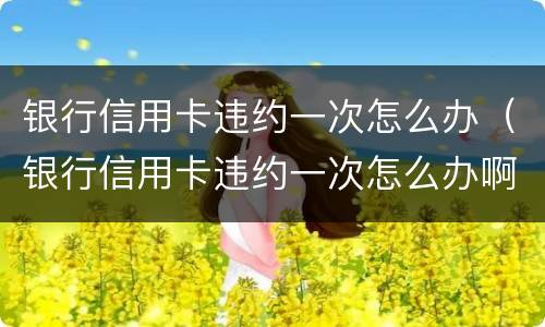 银行信用卡违约一次怎么办（银行信用卡违约一次怎么办啊）