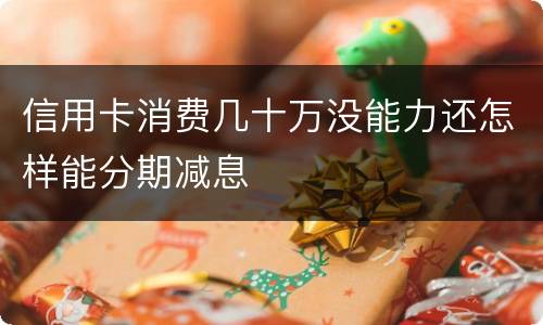 信用卡消费几十万没能力还怎样能分期减息