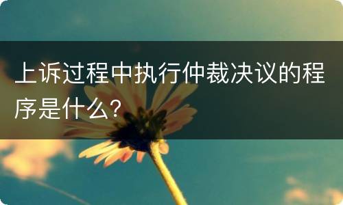 上诉过程中执行仲裁决议的程序是什么？
