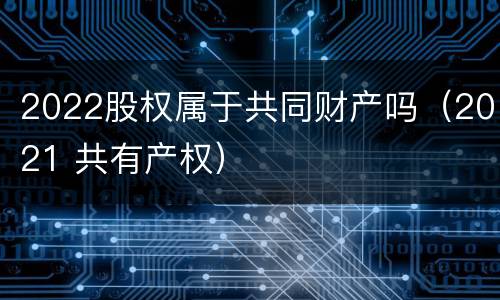 2022股权属于共同财产吗（2021 共有产权）