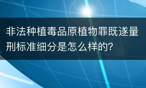 非法种植毒品原植物罪既遂量刑标准细分是怎么样的？