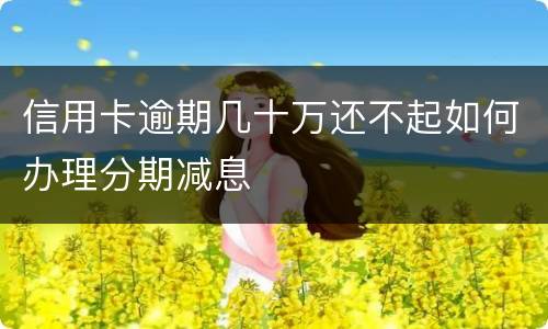 信用卡逾期几十万还不起如何办理分期减息