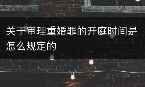 关于审理重婚罪的开庭时间是怎么规定的