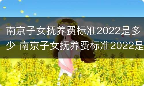 南京子女抚养费标准2022是多少 南京子女抚养费标准2022是多少呢