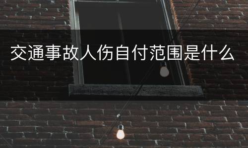 交通事故人伤自付范围是什么