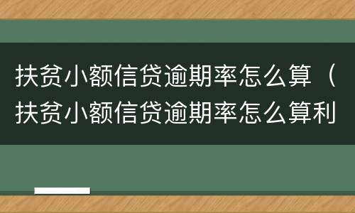扶贫小额信贷逾期率怎么算（扶贫小额信贷逾期率怎么算利息）