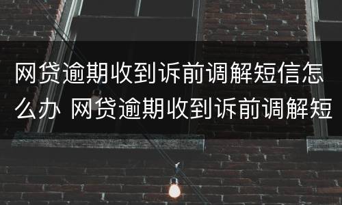 网贷逾期收到诉前调解短信怎么办 网贷逾期收到诉前调解短信怎么办呢