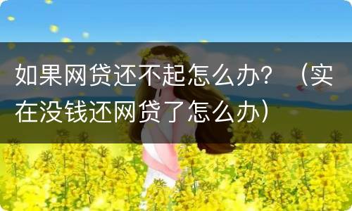 如果网贷还不起怎么办？（实在没钱还网贷了怎么办）