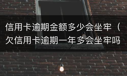 信用卡逾期金额多少会坐牢（欠信用卡逾期一年多会坐牢吗）
