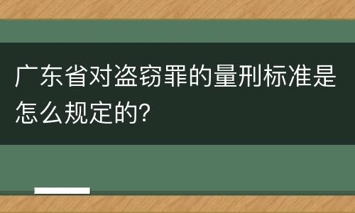 广东省对盗窃罪的量刑标准是怎么规定的？